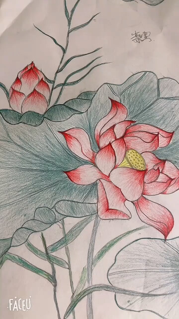 好久没有好好画画了