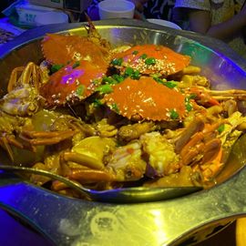 苦情种的图片