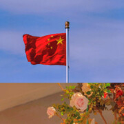 猪小妍的老公的用户头像