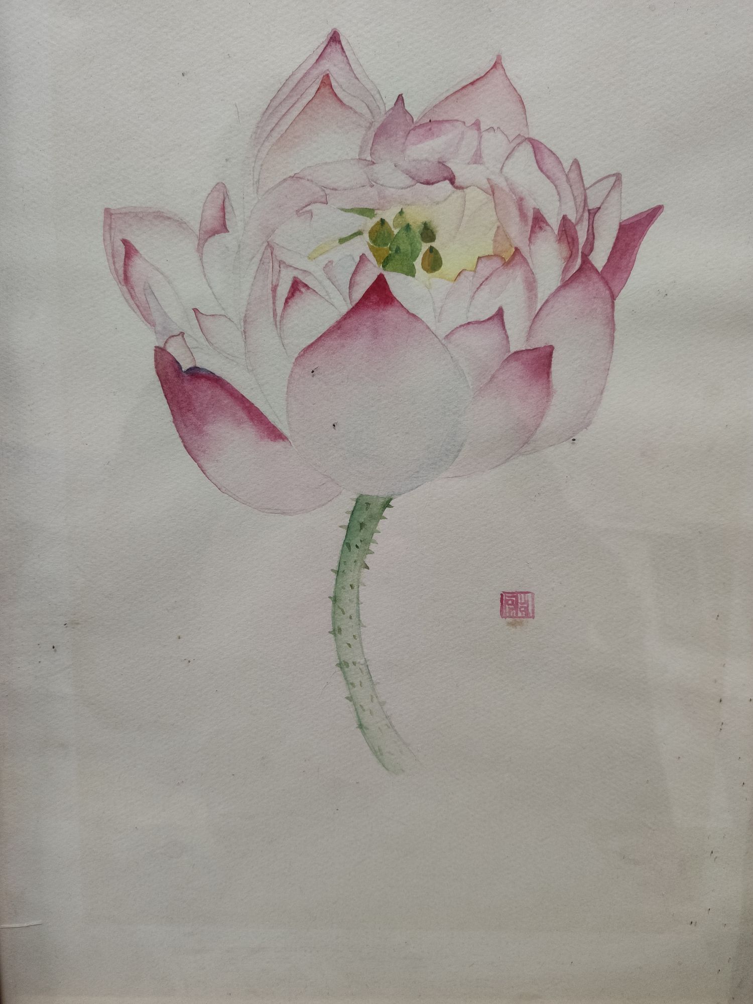 好西七的主播照片