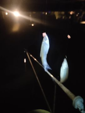 征途8m🐷倌来了的图片