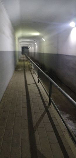 小知秋✨的图片