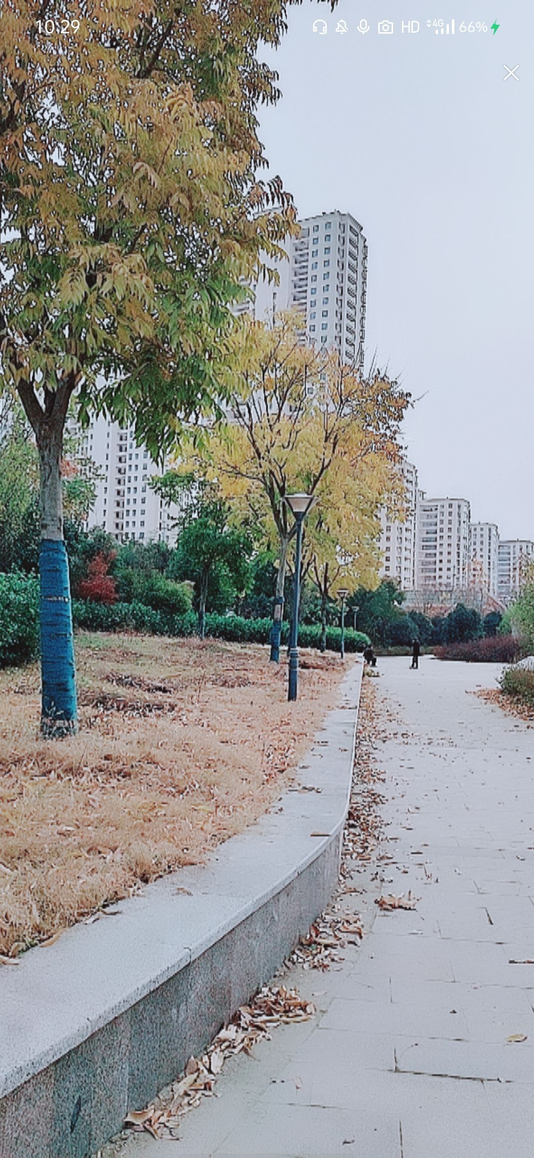 婷婷💕感恩有你陪伴的图片