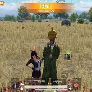 啊妹w*