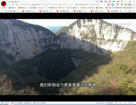 保利哥主播照片