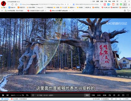 保利哥主播照片