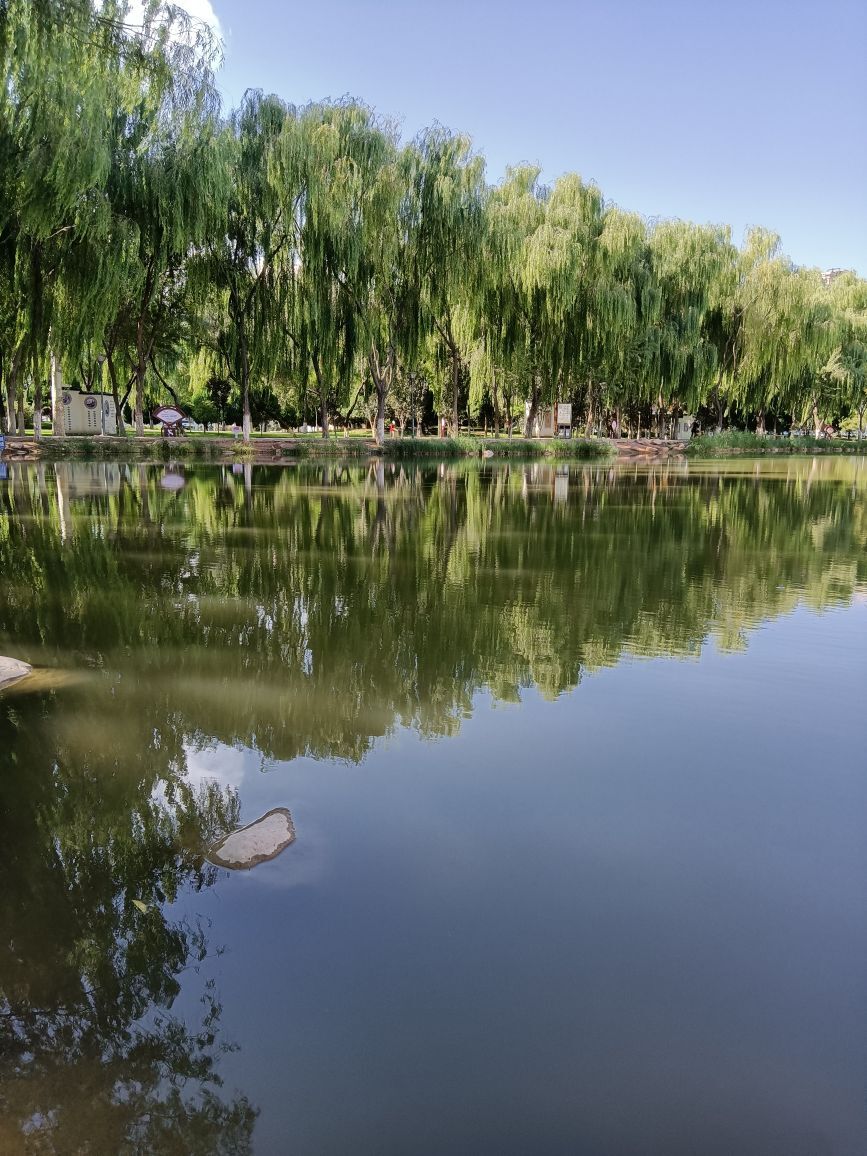 淑女爱唱歌跳舞的主播照片
