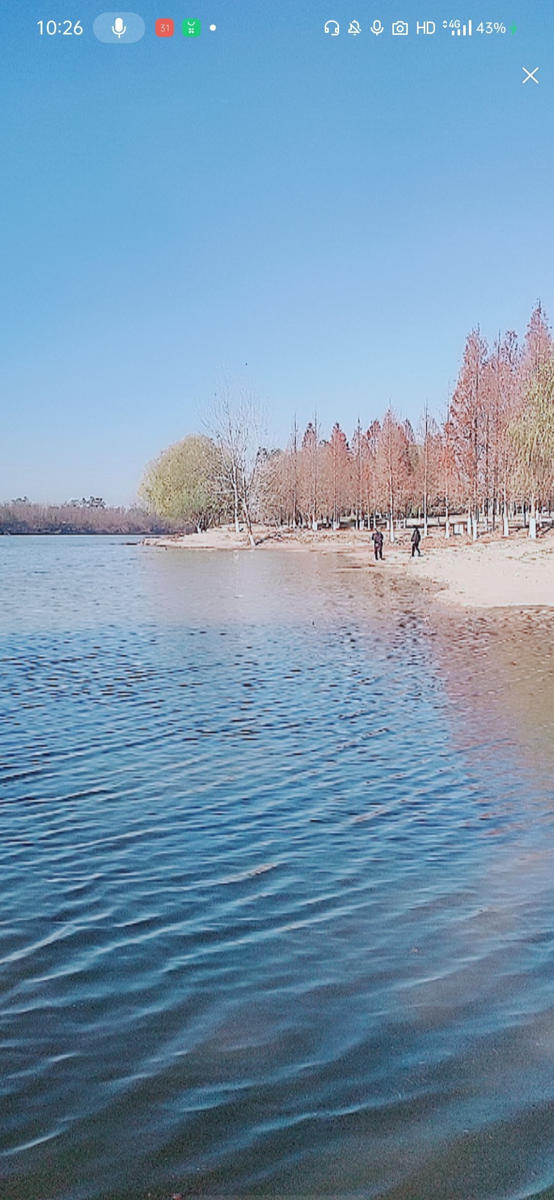 婷婷💕感恩有你陪伴的图片