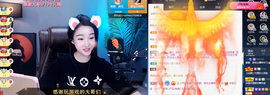 窦窦，家里有事休息了主播照片