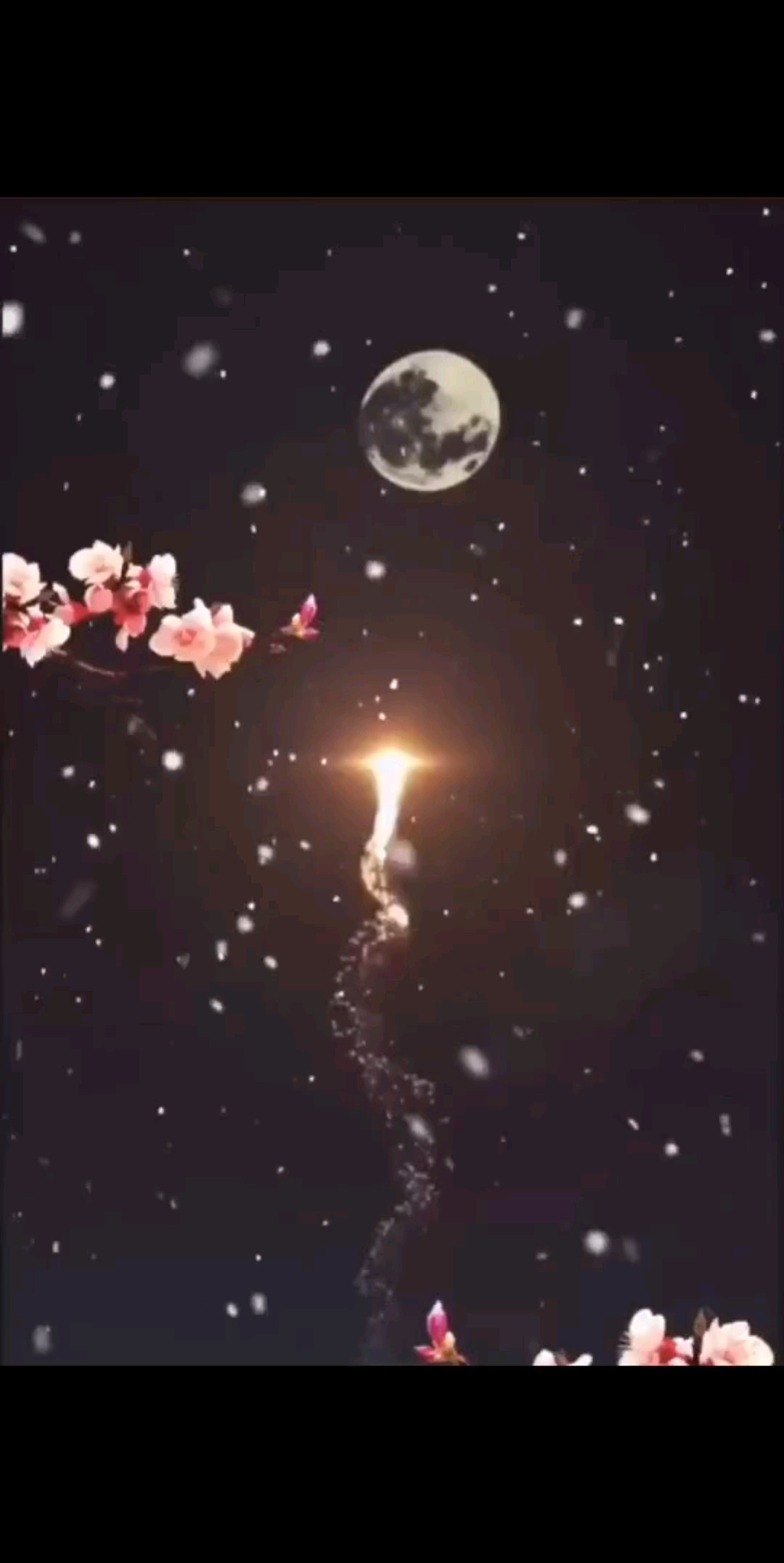 冬至是一年里夜晚最长