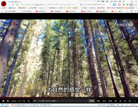 保利哥主播照片