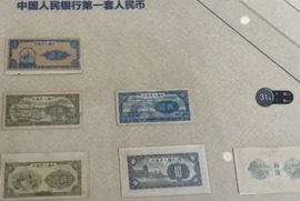保利哥主播照片