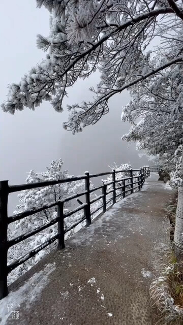 雪后的三清山直播风景