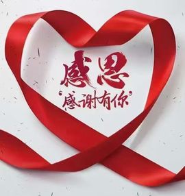 一只雁~主播照片