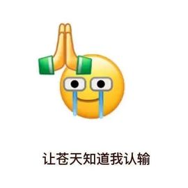 阳阳💕晚上见主播照片