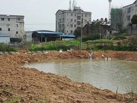 果果(平安好运)主播照片