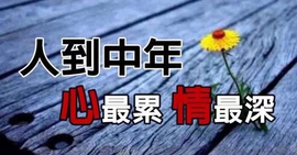 დ释怀დ主播照片