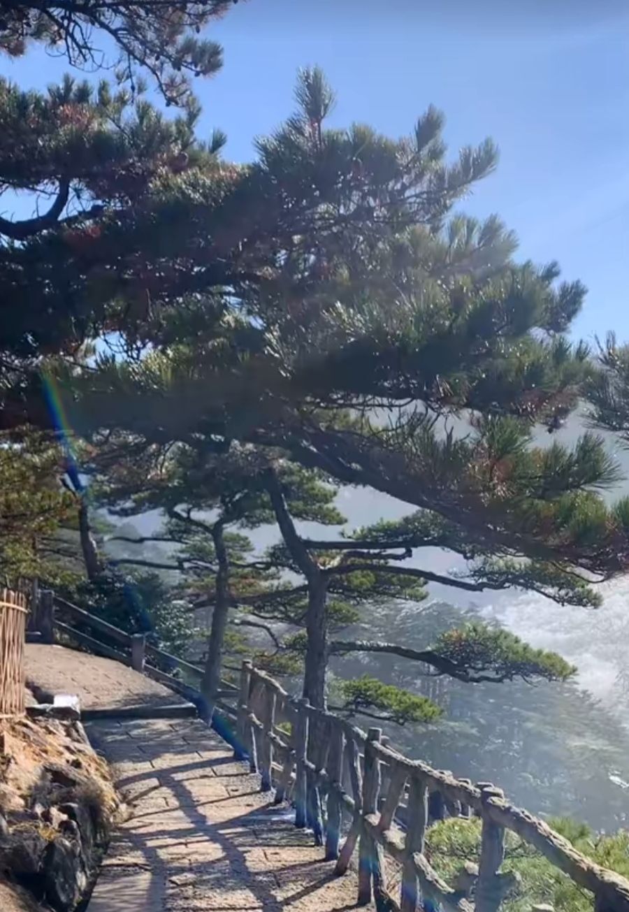婷婷💕感恩有你陪伴的图片