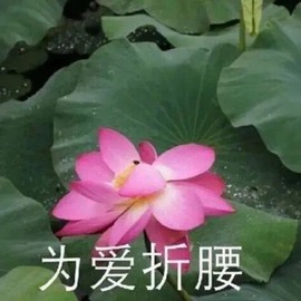 ✌🏼主播照片