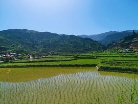 江楠空间主播照片