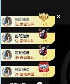 喵崽小花猫主播照片
