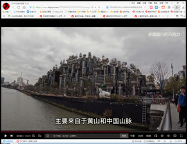 保利哥主播照片