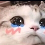 OQAQ