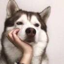 🌝nq2