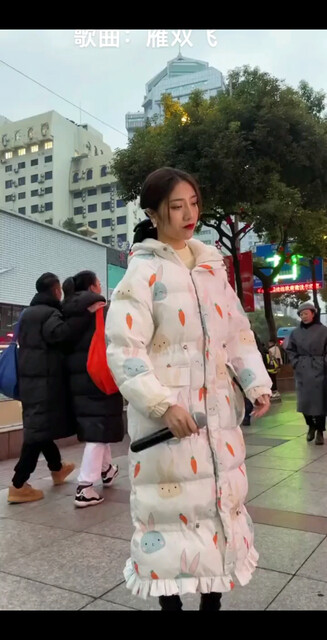 雁双飞