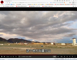 保利哥主播照片