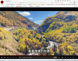 保利哥主播照片