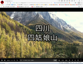 保利哥主播照片