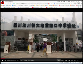 保利哥主播照片