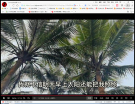 保利哥主播照片