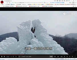 保利哥主播照片