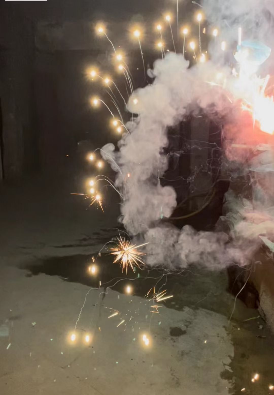 果果(平安好运)的图片