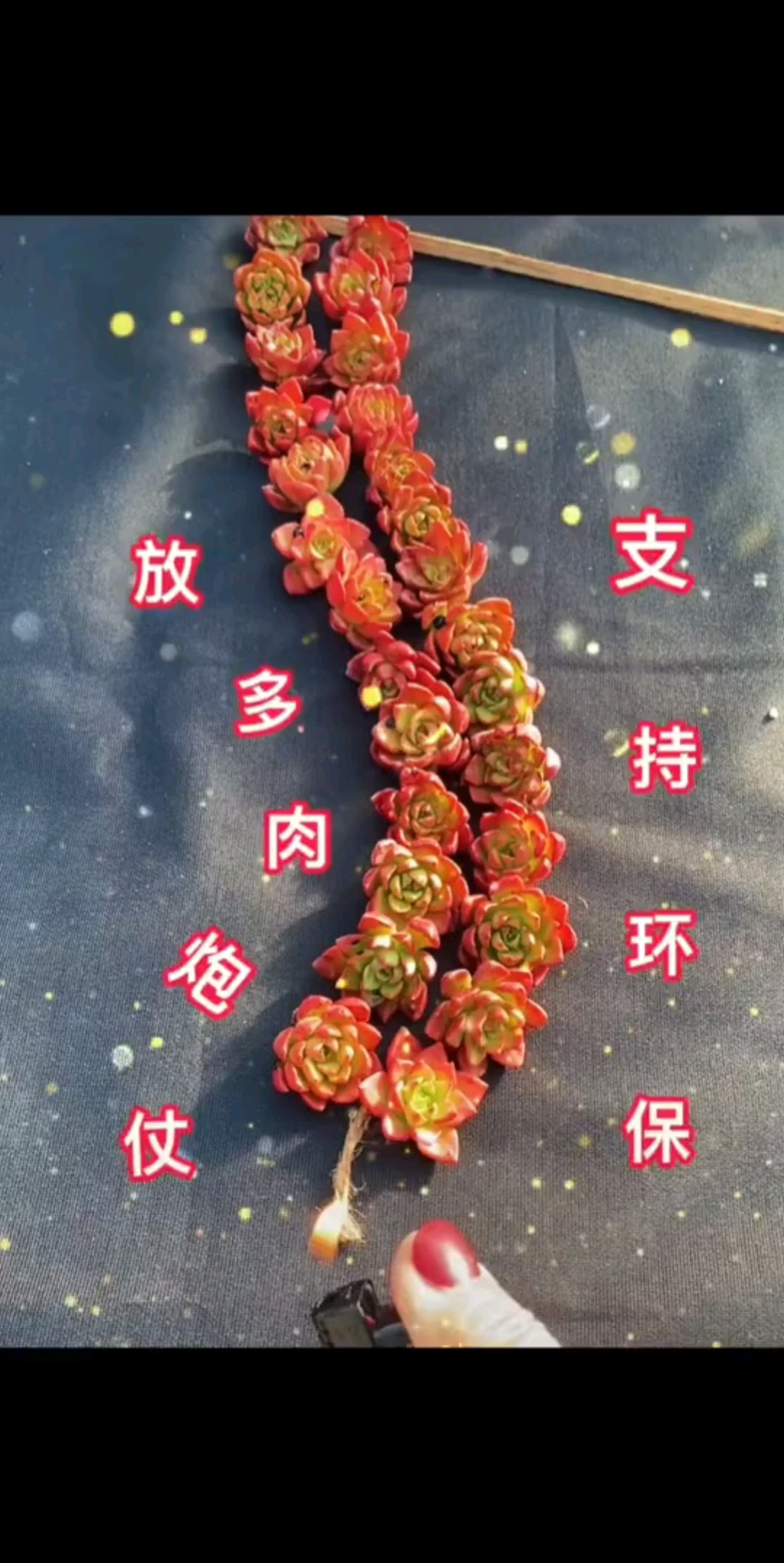 新年好呀，新年好呀，
