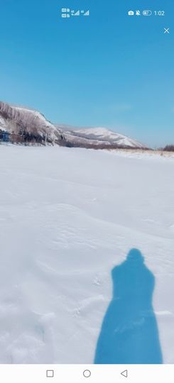 ♪丫头ღ休假回内蒙主播照片