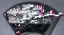 小麦开镰在即！主播照片
