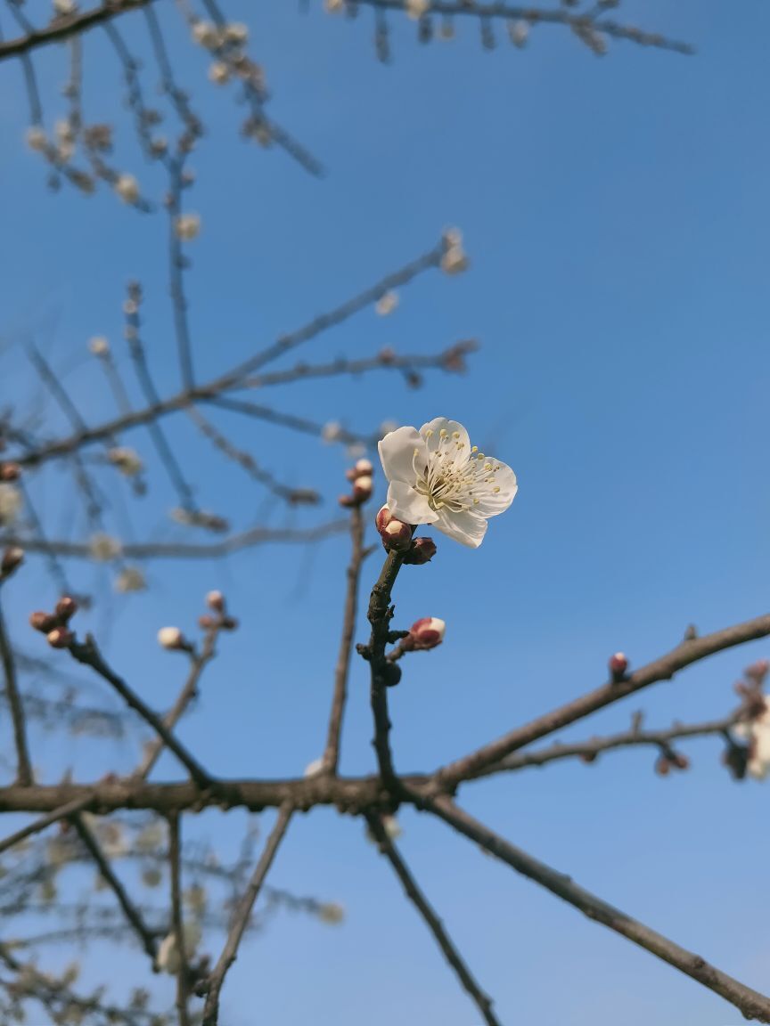 婷婷💕感恩有你陪伴的图片