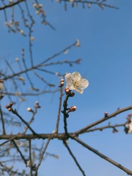婷婷💕感恩有你陪伴的图片