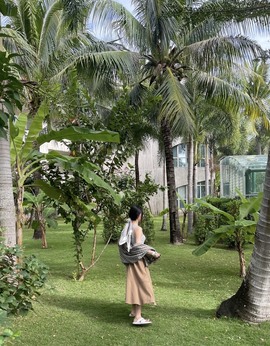 开朗贺coe小楼升级的图片