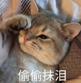 柒七休主播照片