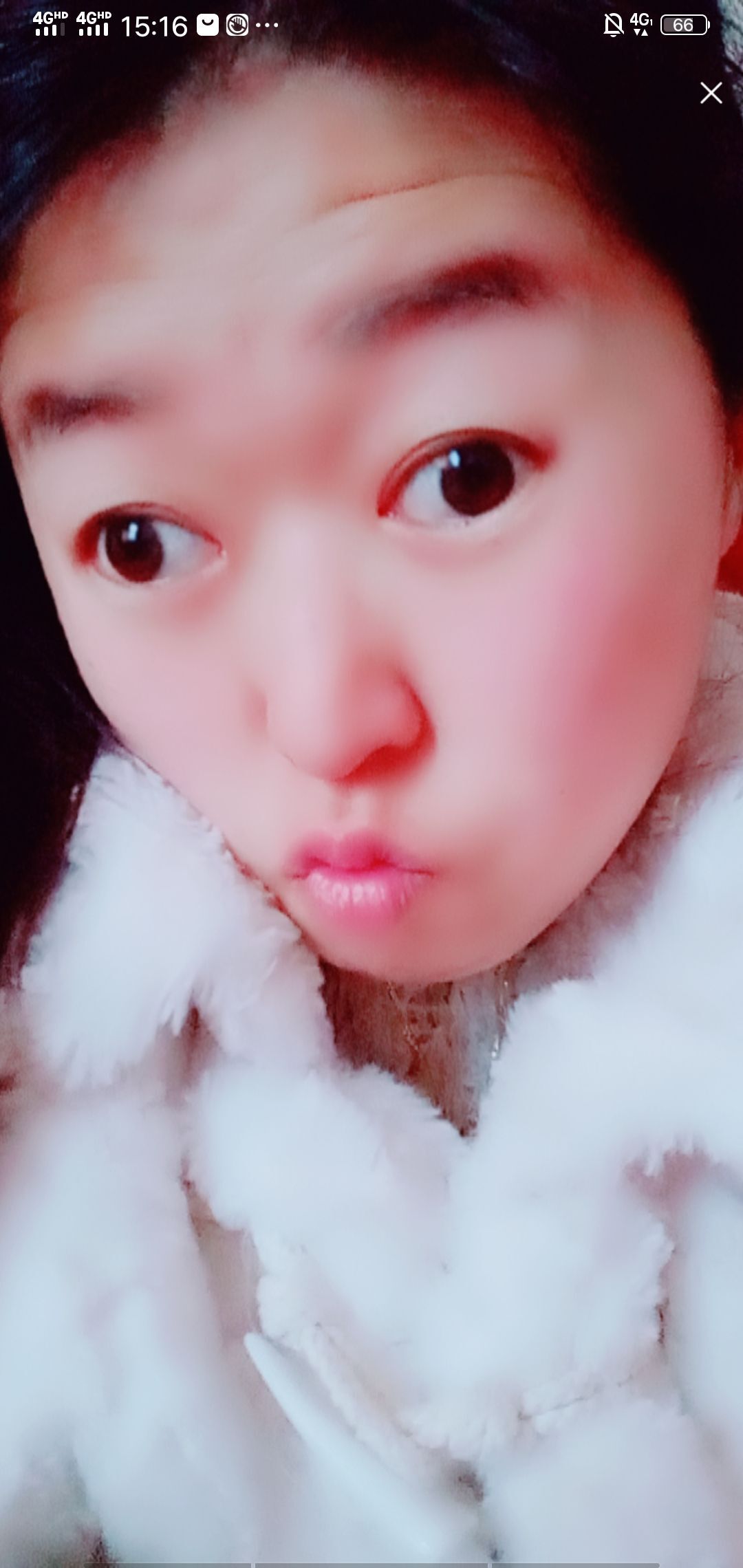果果(平安好运)的图片