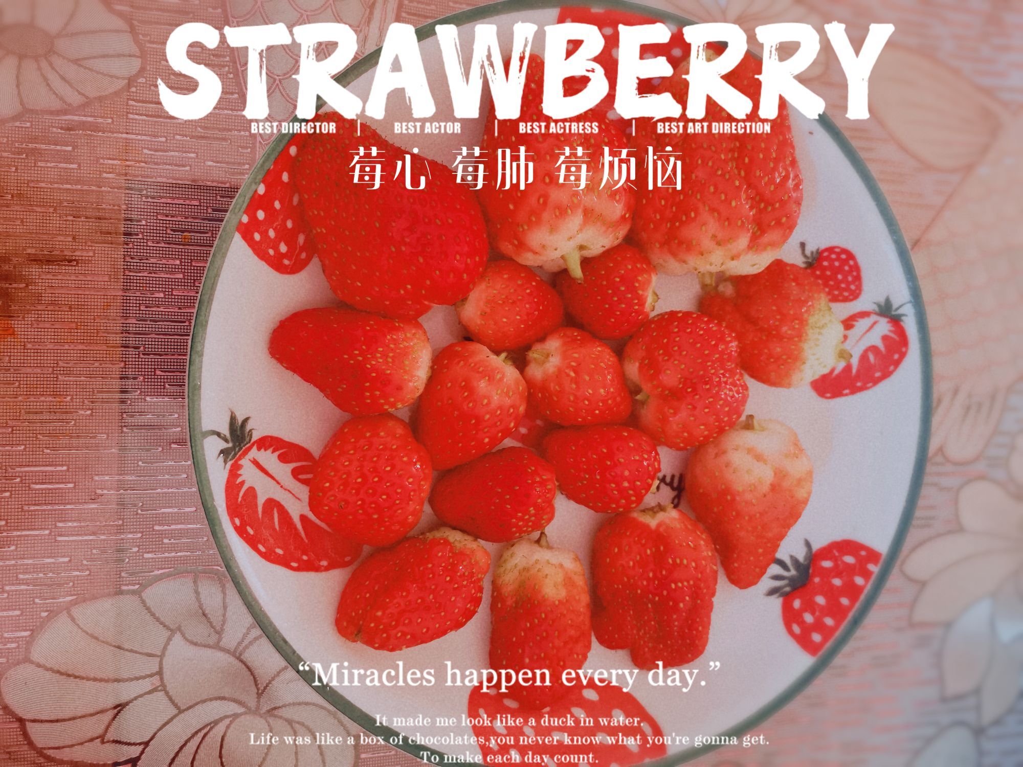 🌹伊梦萍🌹的主播照片