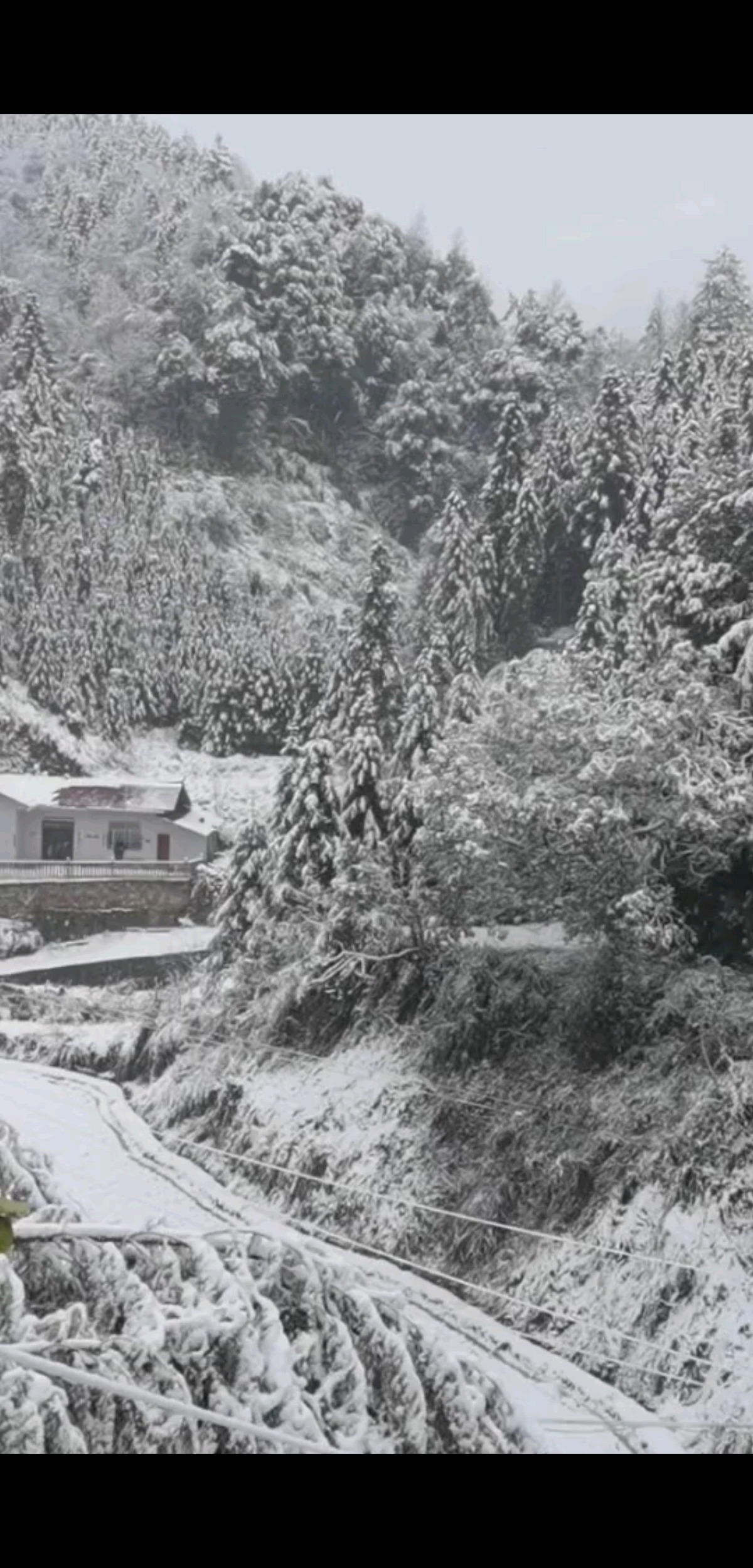 有来一起打雪仗的吗？
