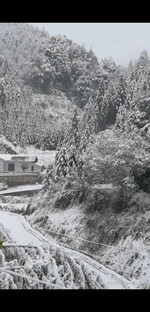 有来一起打雪仗的吗？