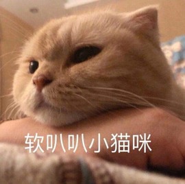 美子宝宝ღ主播照片