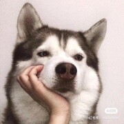 小葵花药业
