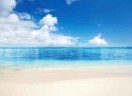 海$dh海报